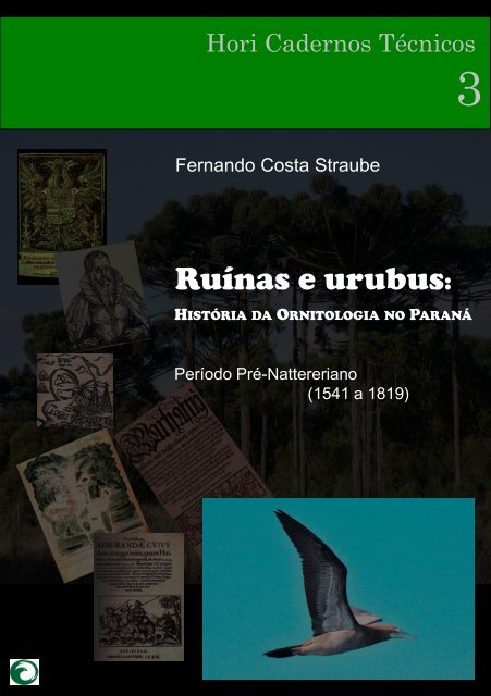 Ruínas e urubus - Atualidades Ornitológicas