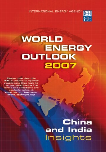 World Energy Outlook 2007