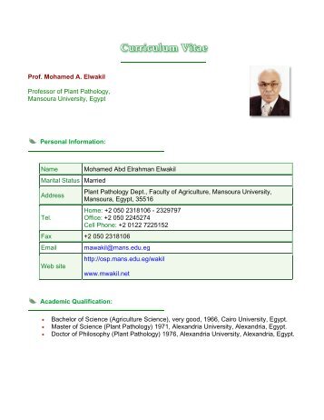 Prof. Mohamed A. Elwakil Personal Information: Academic ...
