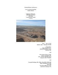 Technical Report on Resources Cerro Colorado ... - Goldgroup Mining