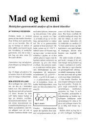 Mad og kemi