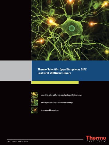 Thermo Scientific Open Biosystems GIPZ Lentiviral shRNAmir Library