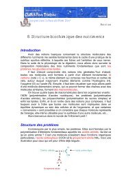 biochimie des nutriments