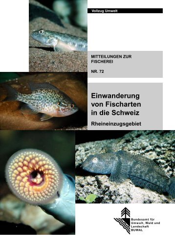 Einwanderung von Fischarten in die Schweiz - KFVBL