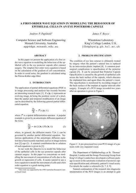 A first-order wave equation in modelling the behaviour of epithelial ...