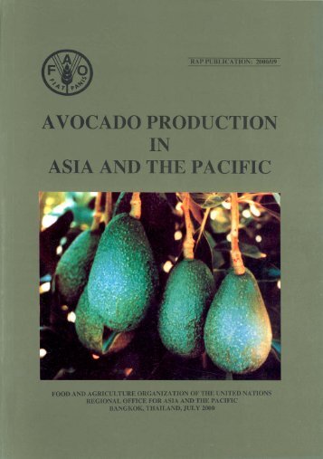 Avocado Production in Asia and the Pacific - United Nations in ...