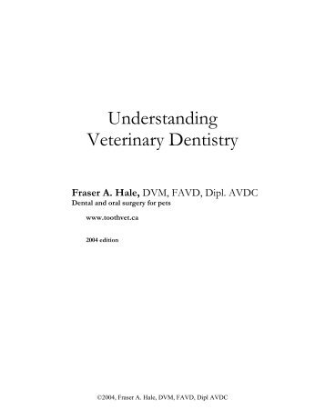 Understanding Veterinary Dentistry - Hale Veterinary Clinic