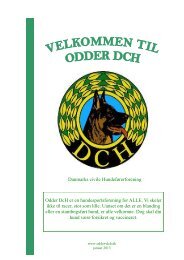 Velkomstfolder - Odder-DCH