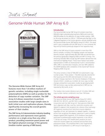702509-2 DS, Genome-Wide Human SNP Array 6.0:Data Sheet.qxd