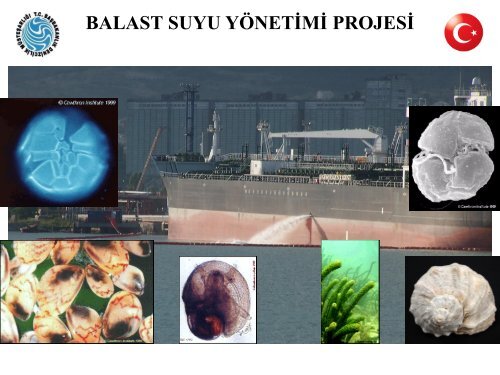 Balast Suyu YÃ¶netimi Projesi