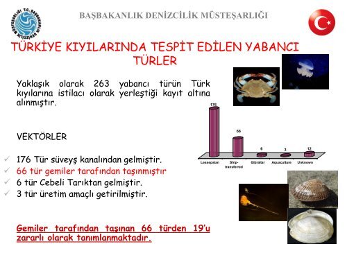 Balast Suyu YÃ¶netimi Projesi