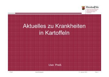 Aktuelle Krankheiten in Kartoffeln_Part DickeyaStolbur und Co [V5 ...