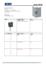 Katalog Vorreiber Deutsch.indd - T&S Systemtechnik GmbH und IVG ...