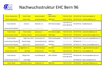 Nachwuchsstruktur EHC Bern 96