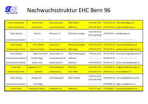 Nachwuchsstruktur EHC Bern 96