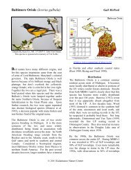 Baltimore Oriole - Michigan Breeding Bird Atlas Website