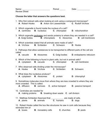 Review Sheet Choose the letter that answers the ... - CCSD Blogs