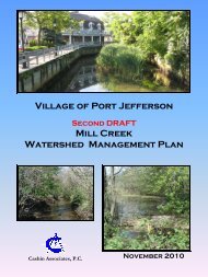 Village of Port Jefferson Mill Creek Watershed Management Plan