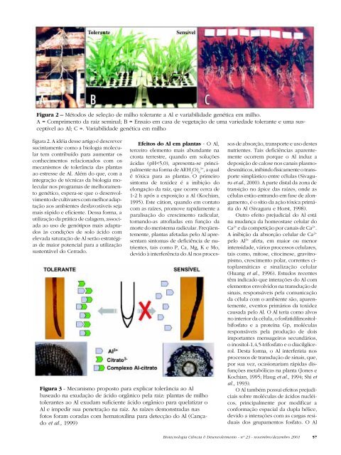 Bio pdf - Biotecnologia