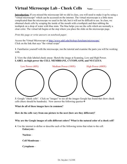 Virtual Microscope Lab - Cheek Cells Name