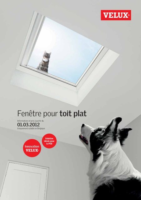 Téléchargez notre brochure Fenêtre pour toit plat (.pdf - Velux