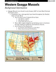 Western Quagga Mussels - 100th Meridian Initiative