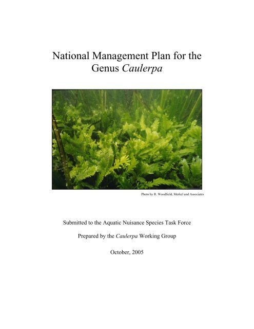 National Management Plan for the Genus Caulerpa - Aquatic ...