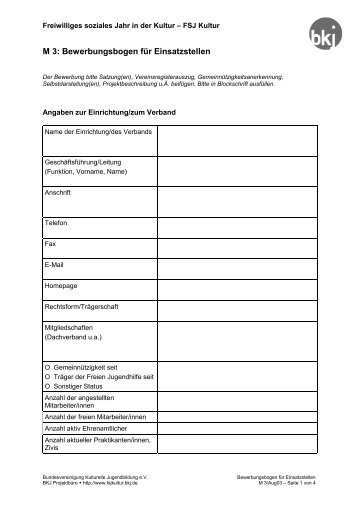 M 3: Bewerbungsbogen für Einsatzstellen - LKJ SH eV