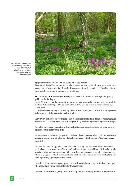 naturgruppens rapport - Nationalpark Sydfyn