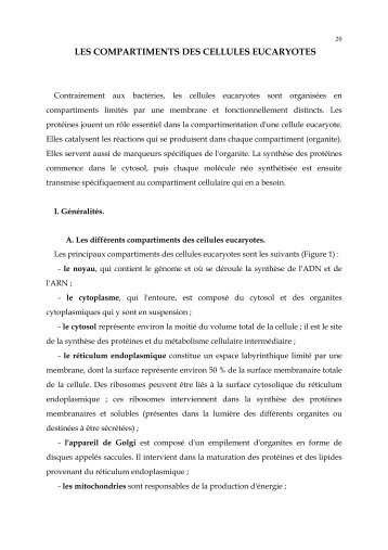 compartiments cellulaires - Poly-Prepas