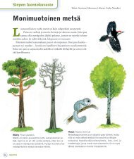 Voit myÃ¶s ladata kuvaston tÃ¤stÃ¤ PDF-tiedostona