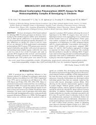 Single-Strand Conformation Polymorphism (SSCP ... - Poultry Science