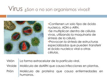 U10_Virus_20212