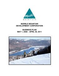 Marble Mountain Development Corporation Business Plan - Tourism ...