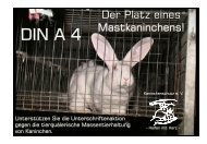 Unterschriftenaktion gegen Mastkaninchen - Kaninchenschutz.de