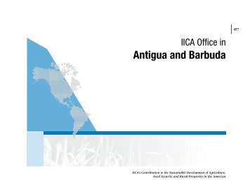 IICA Office in Antigua and Barbuda