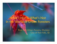 Preferred Trees List - City of Post Falls