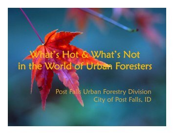 Preferred Trees List - City of Post Falls