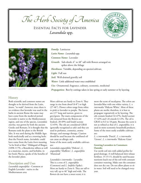 lavender fact sheet 1 - The Herb Society of America