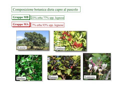 un binomio per produzioni di qualitÃ  [ file .pdf] - Sardegna Agricoltura