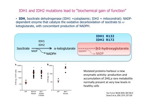 IDH - siesonline