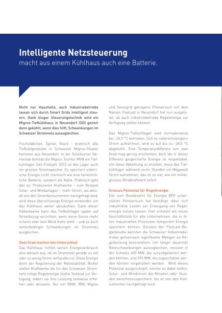 Intelligente Netze und Speicher - Hier ist Energie