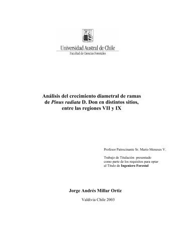 AnÃ¡lisis del crecimiento diametral de ramas de Pinus radiata D. Don ...