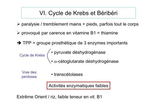 Cycle de Krebs.pdf - IBMC