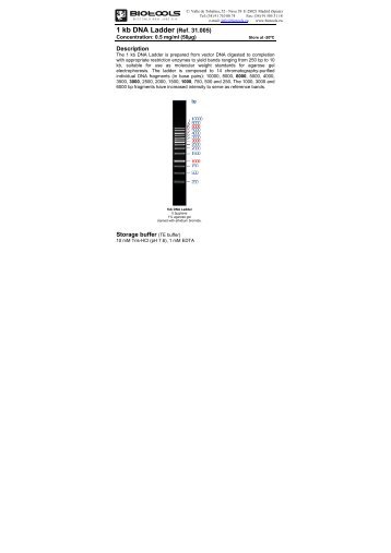 1 kb DNA Ladder (Ref. 31.005) - Biotools