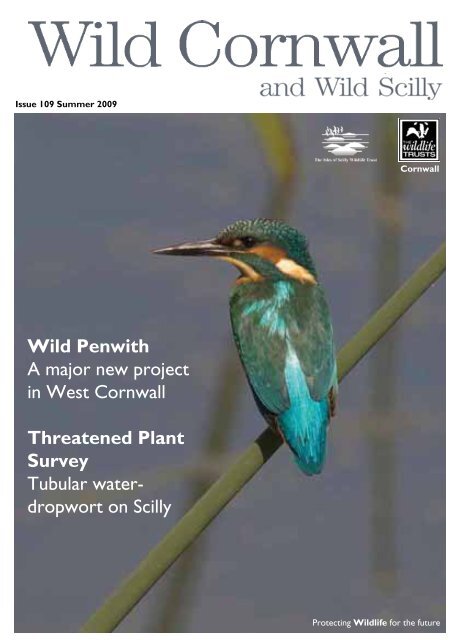 Wild Penwith A major new project in West - Cornwall Wildlife Trust