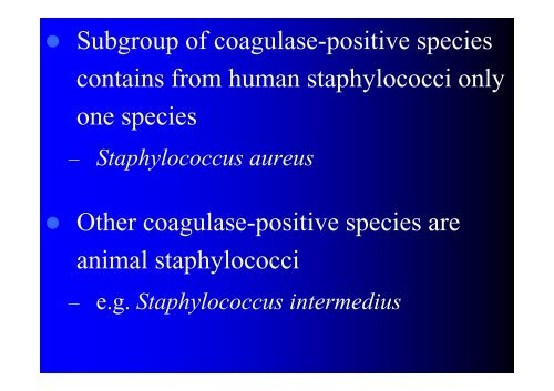 THE GENUS STAPHYLOCOCCUS - LF