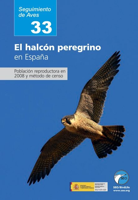 castillo de los caballeros del halcón