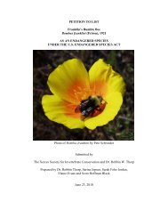 Franklin's bumble bee - The Xerces Society