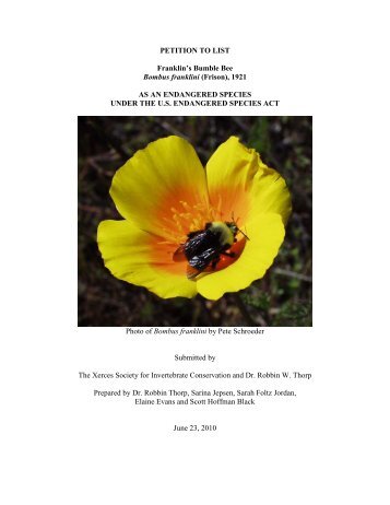 Franklin's bumble bee - The Xerces Society